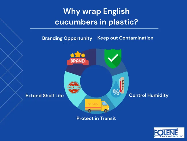 why are english cucumbers wrapped in plastic Benefits Folene