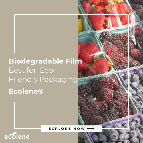 small food packaging Ecolene Explore Now Ecolene Folene Packaging