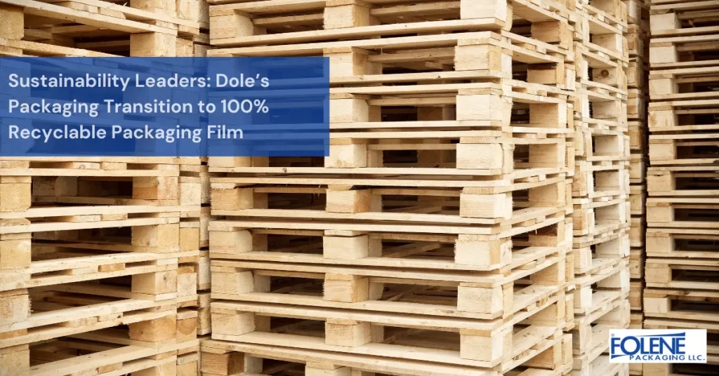 sustainability leaders Featured Image Folene Packaging
