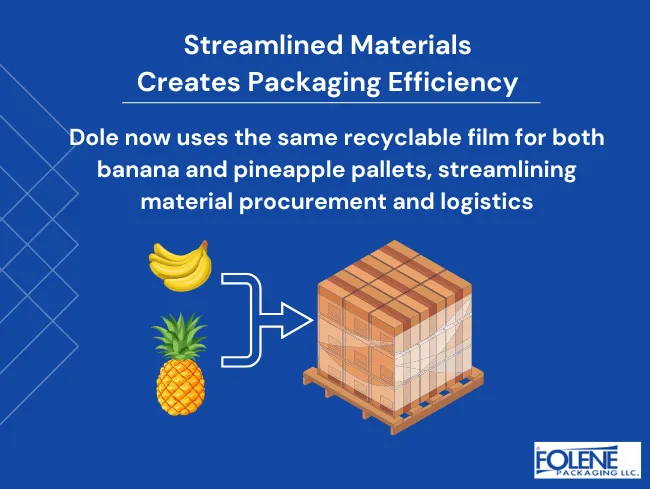 sustainability leaders efficiency Folene